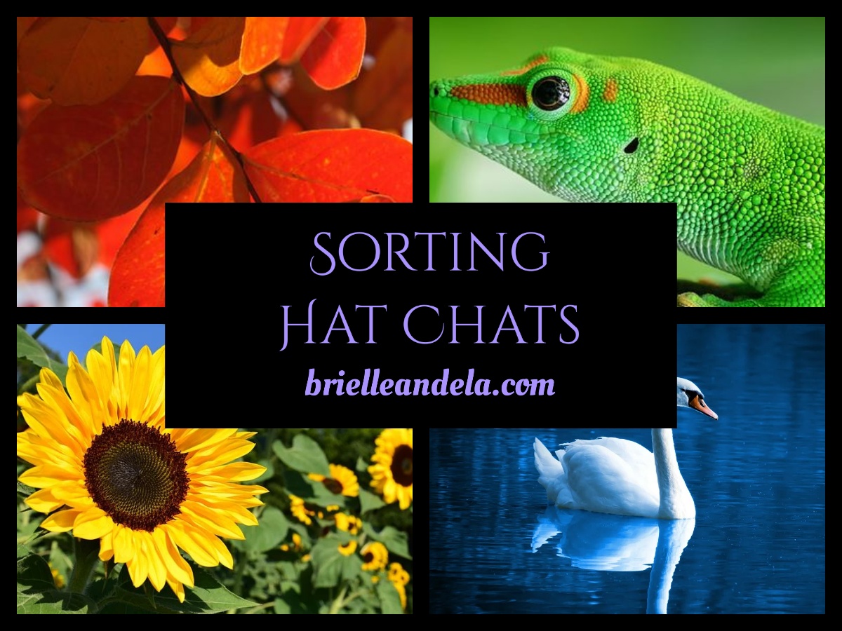 Sorting Hat – Brielle